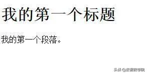 HTML最详细教学，前端小白必看