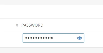 Password Mask